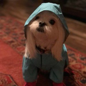 DOG RAIN JACKET